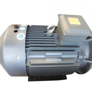 Moteur électrique (45 kW)