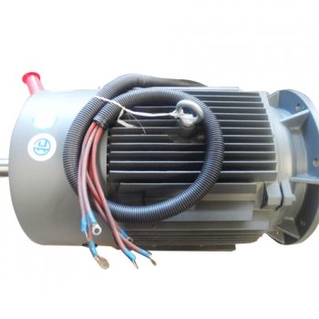 Moteur électrique (45 kW)